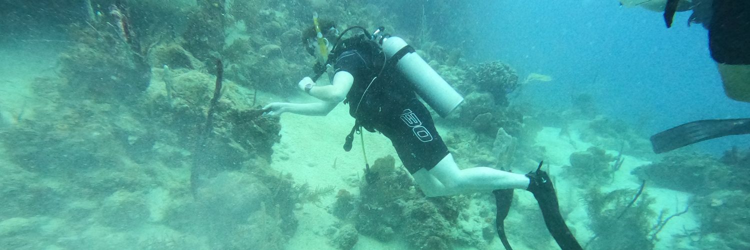 Student diving under water in Honduras