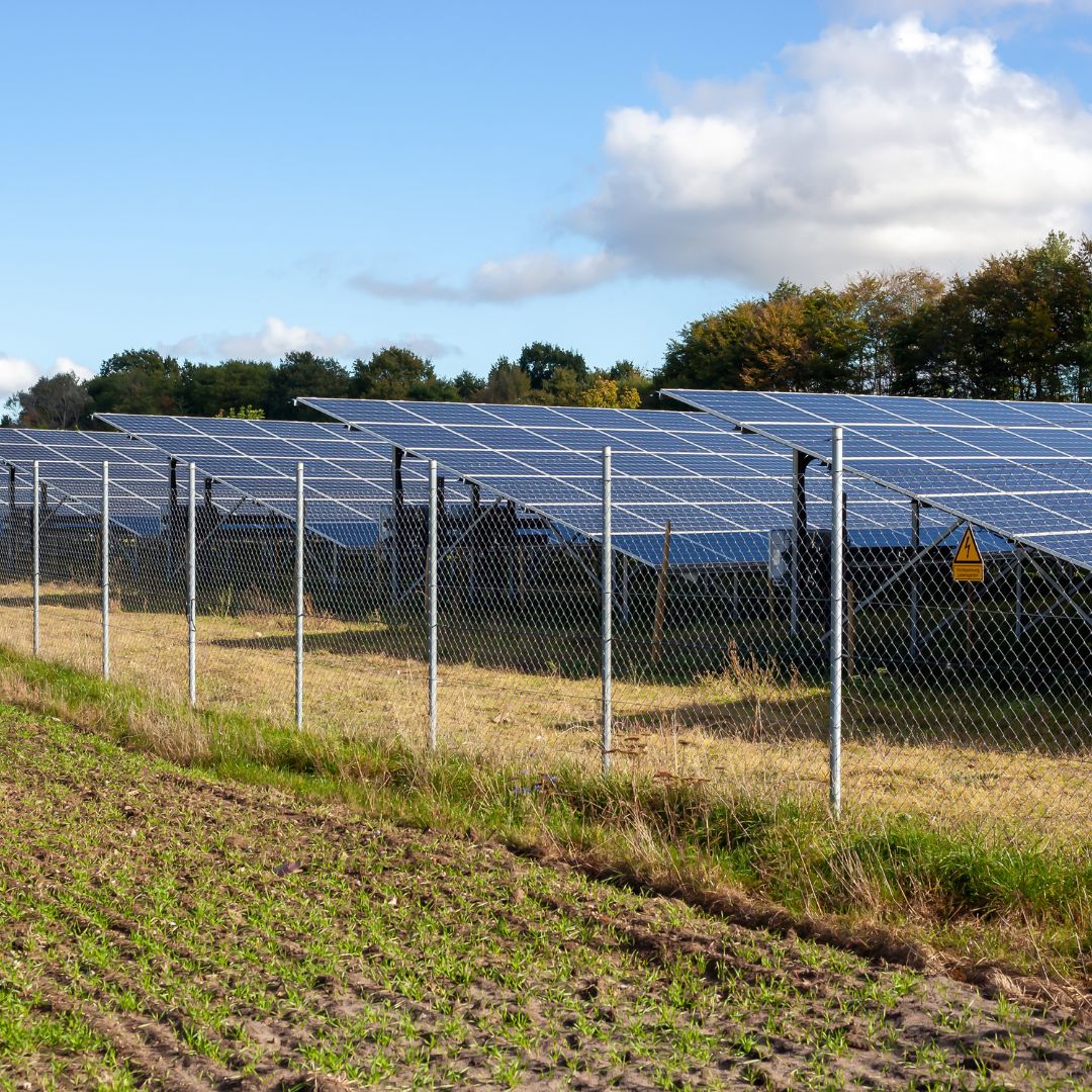 Solar panel farm surrounded by wire fence