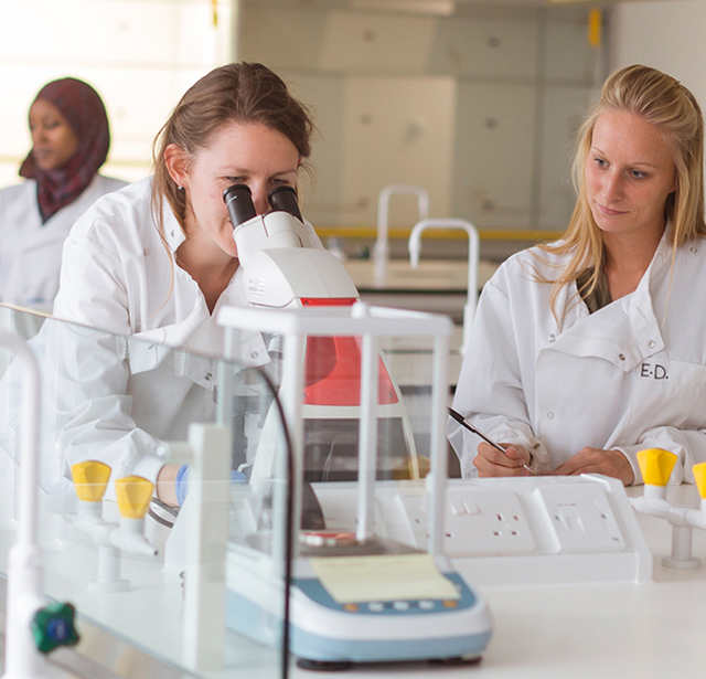 Students working in the Bodmer Laboratory