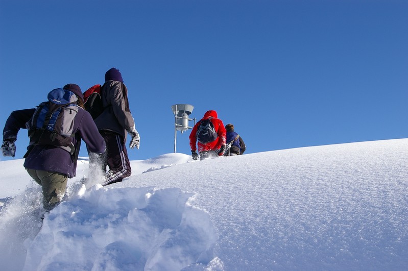 Geography students on field trip in the Alps