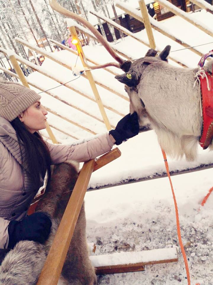 Female student feeding a reindeer in Finland