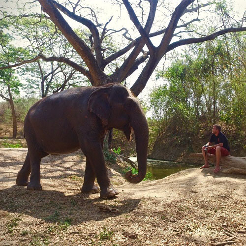 Alumni Achievement Award Rising Star Tom Taylor sitting opposite an Elephant in Thailand