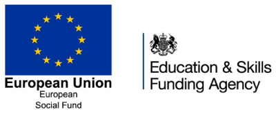 ESF logo 