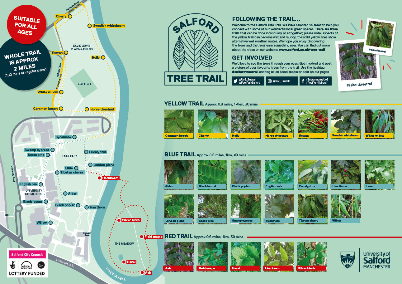 tree trail map