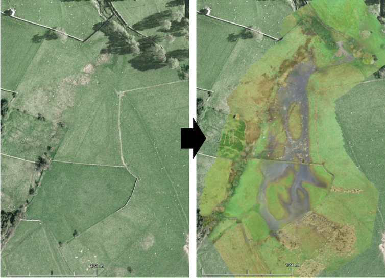 Floodplain Restoration