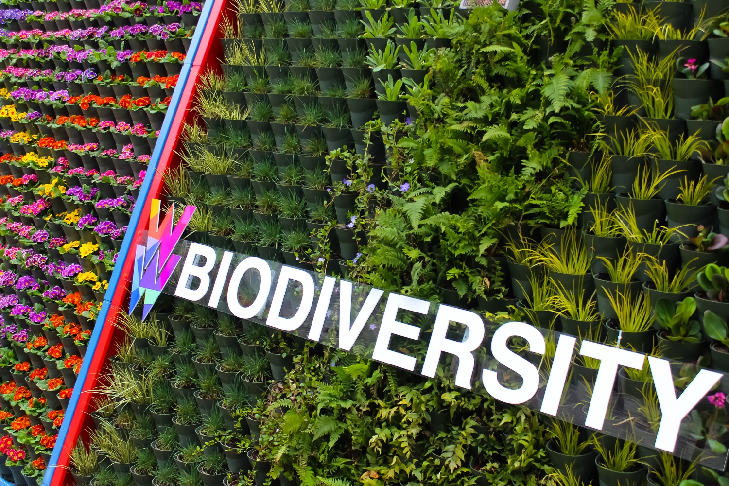 Ignition Green Wall on Cockcroft Building with Biodiversity lettering