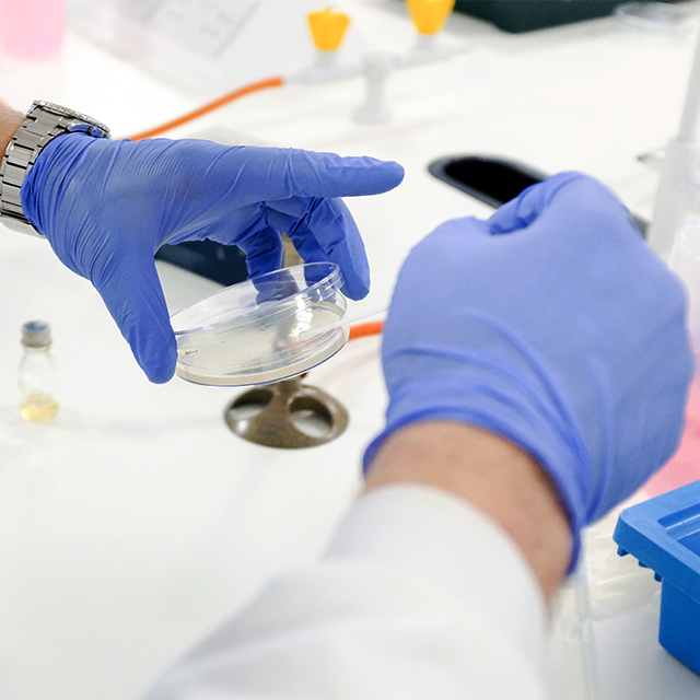 Chemistry student with gloved hands working on an experiment
