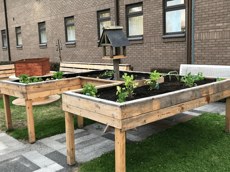 Picture of raised bed planter with bird house in the middle
