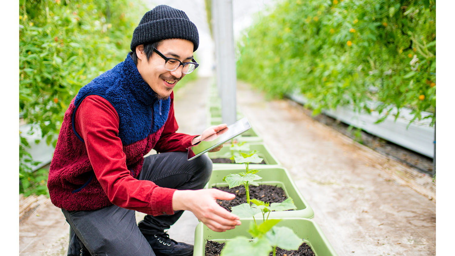 Geography degree student tending to plants.