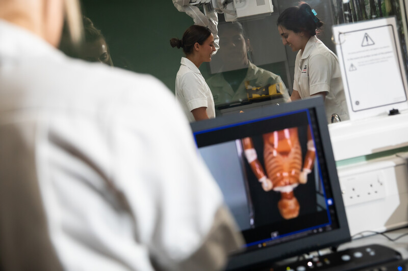 Students looking at medical scan image on screen