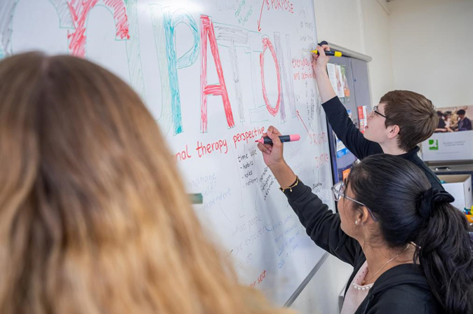 Occupational therapy degree students writing on the whiteboard