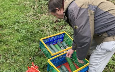 A man sorting small mammal traps in a green space