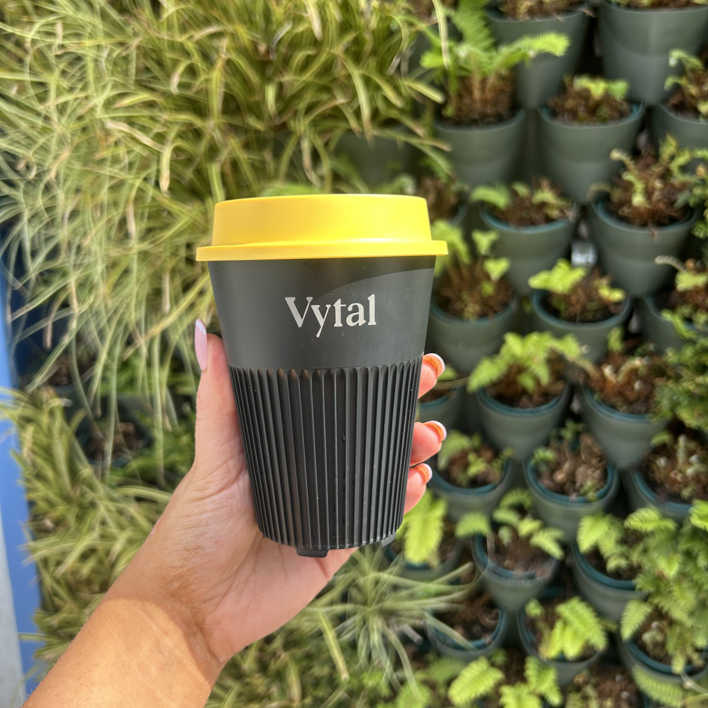 Hand holding up a Vytal branded reusable coffee cup