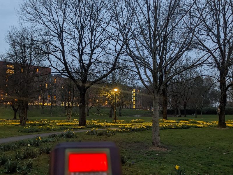 A bat detector with a red light screen being used in Peel Park in the evening.
