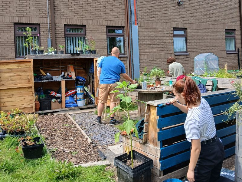 Volunteers helping in the Community Garden by paining benches and planting things.
