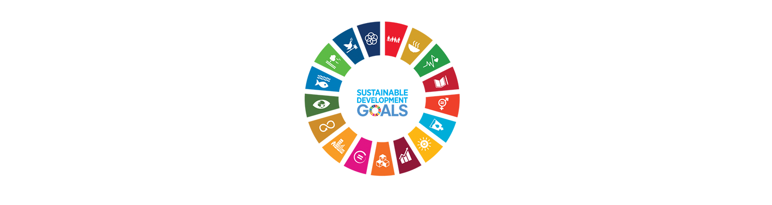 Sustainable Development Goals logo
