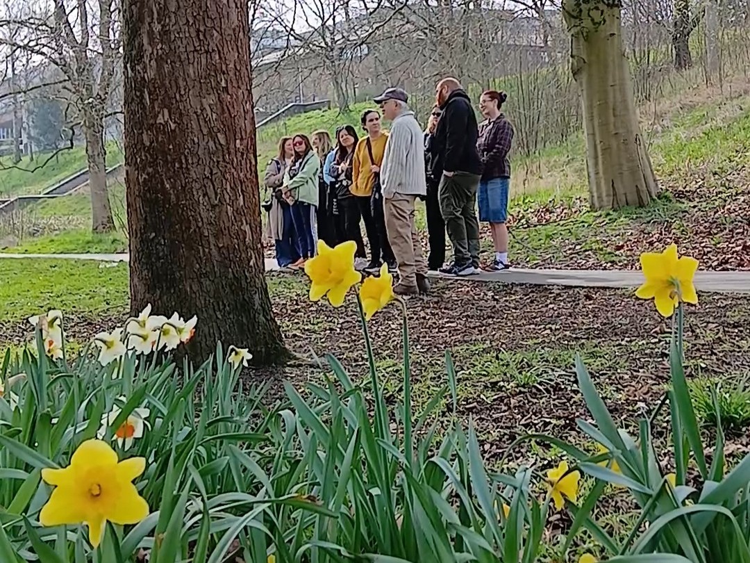 People stood in Peel Park observing the nature with daffodils in the foreground.