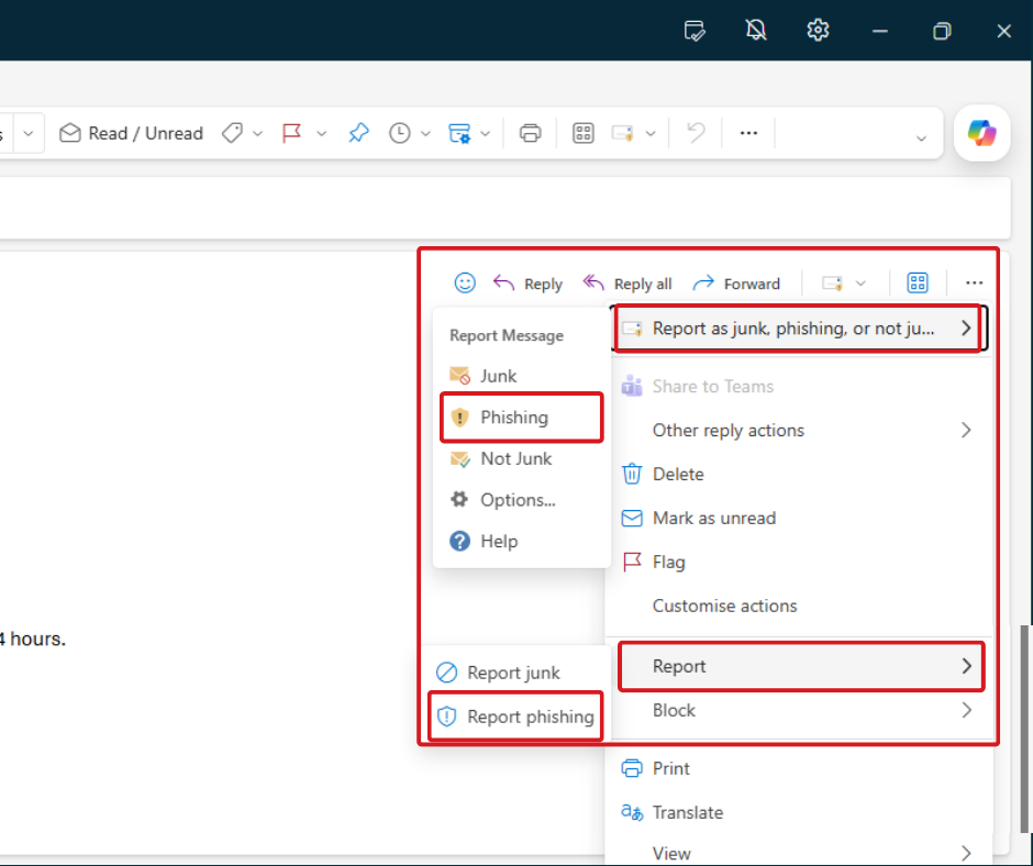 Screenshot of reporting a phishing email using the 'Settings' button
