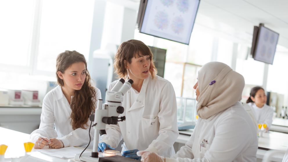 Biochemistry students in the laboratory