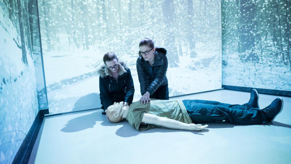 Immersive simulation room