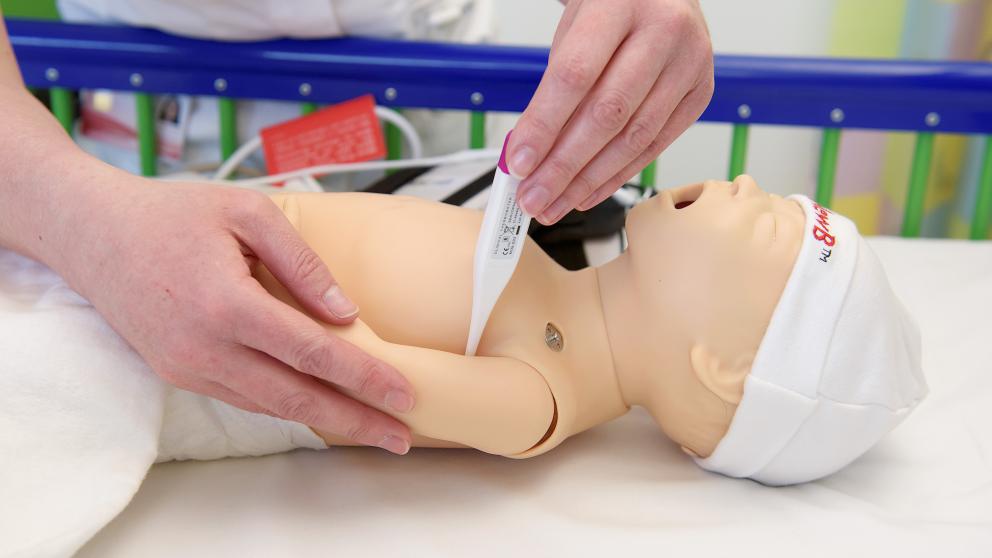 A baby simulation model