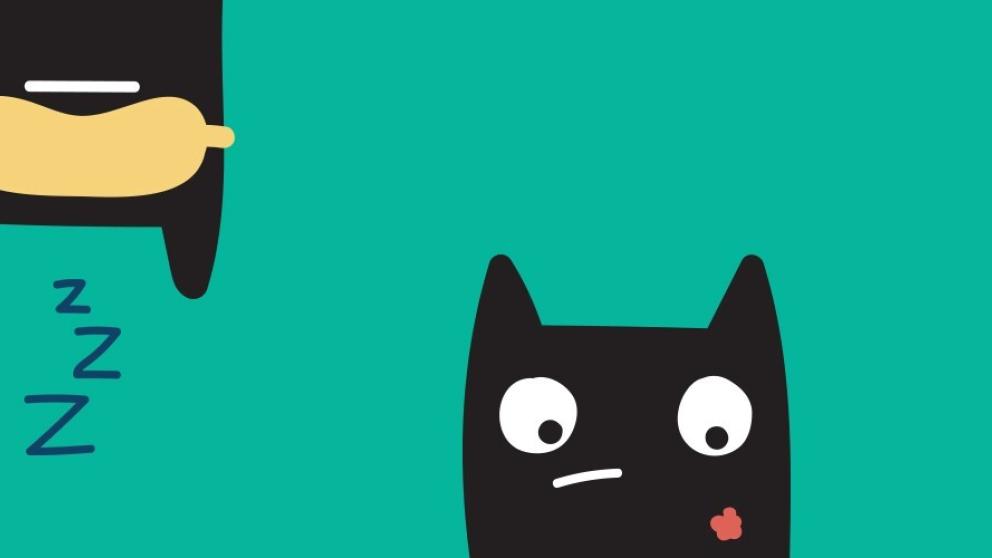 Illustration showing playful, minimalist black cartoon cats in various orientations against a turquoise background