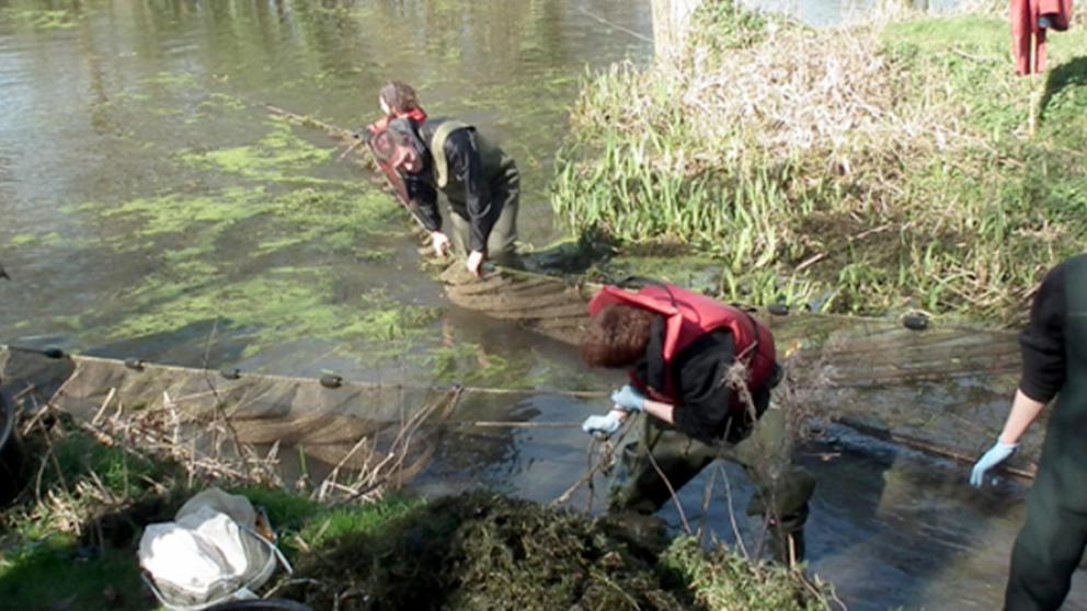 Environment students 