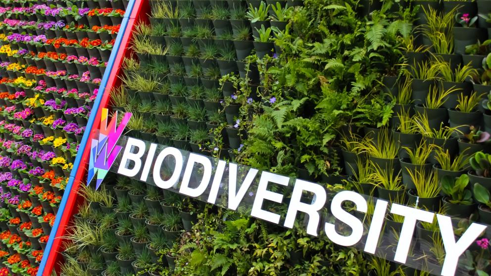 Ignition Green Wall on Cockcroft Building with Biodiversity lettering