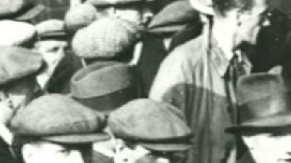 A close up of an image from the Collection