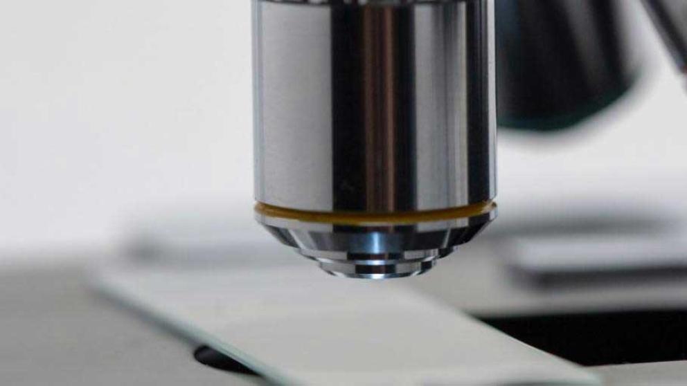 A microscope and glass slide