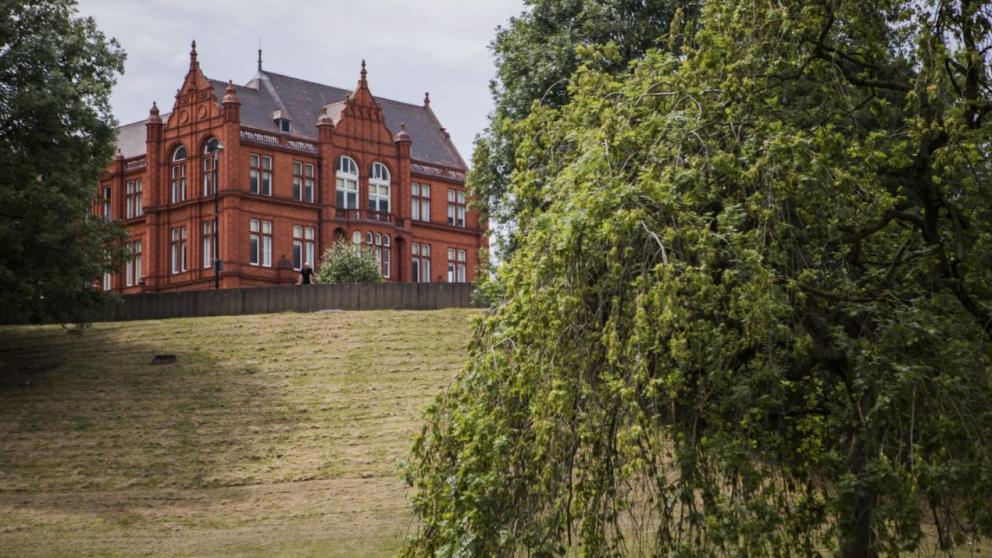 An image of the Peel Building framed by trees.