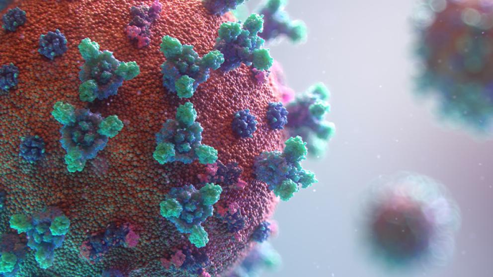 Close-up view of colourful cells under a microscope