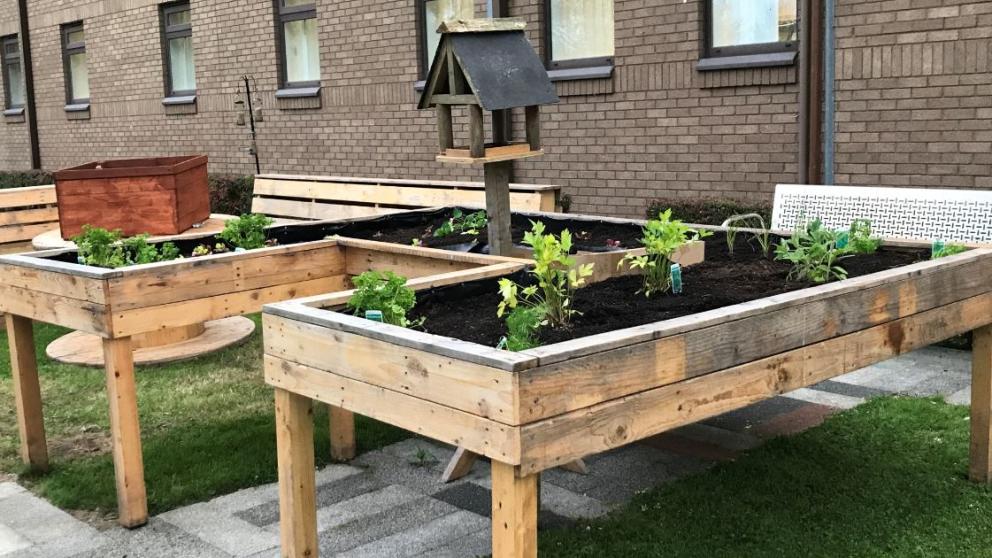 community green space pic