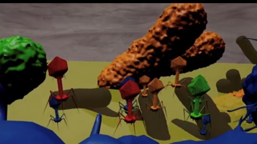 3D digital illustration depicting bacteriophages, a type of virus that infects and replicates within bacteria