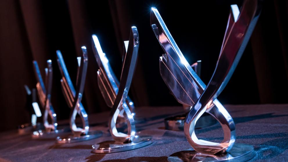 Table holding five alumni achievement awards