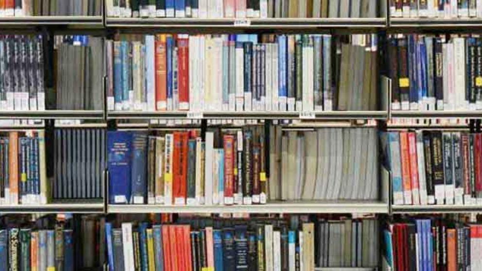 Library shelves holding multiple books