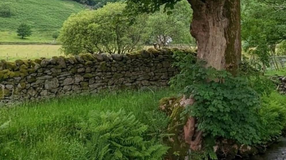 Cumbrian River resoration