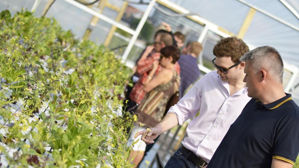 Group of people visiting a plant nursery