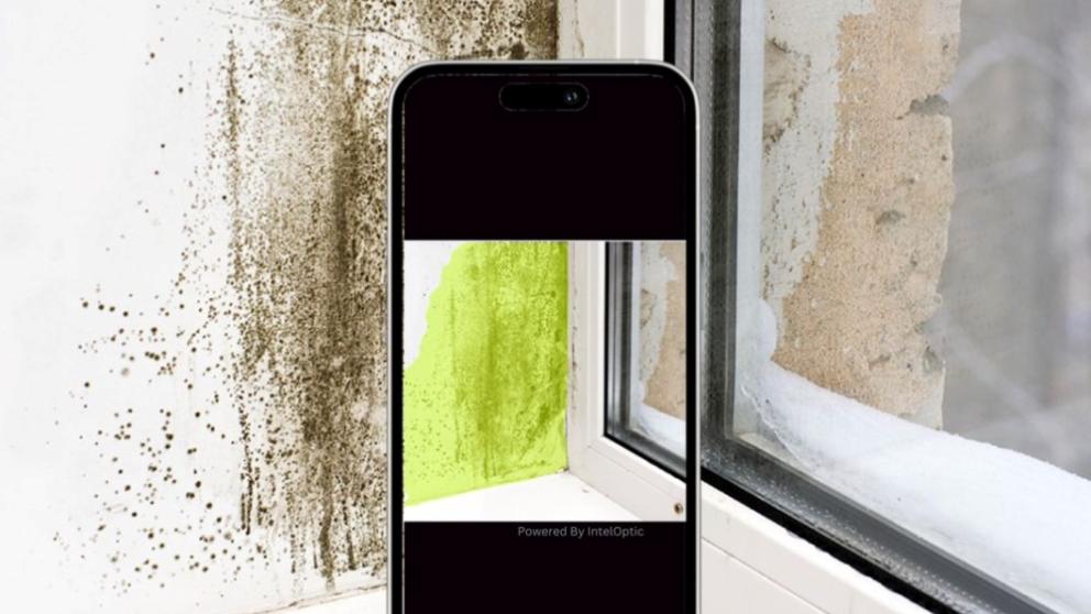 Mobile phone identifying mould on a windowsill