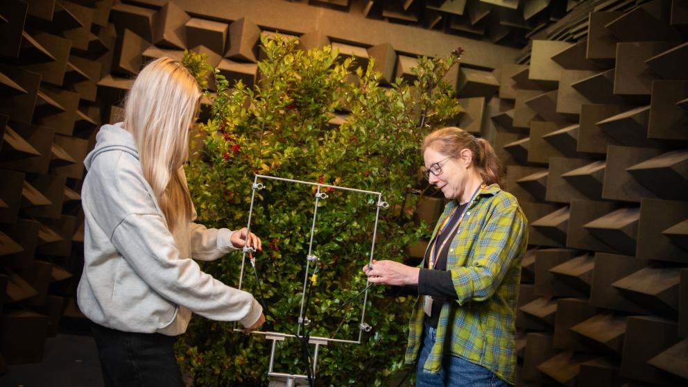 Acoustics student and tutor working together on a bush study
