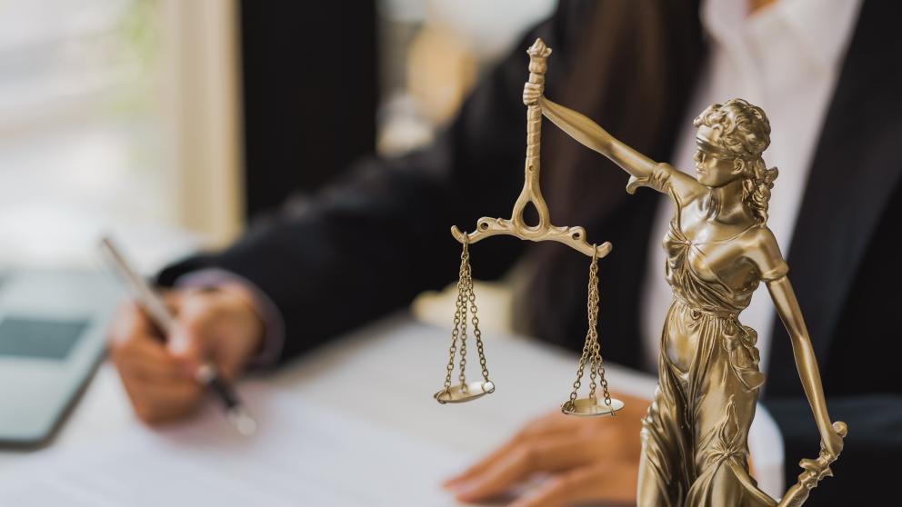 The image shows a judiciary writing a contract