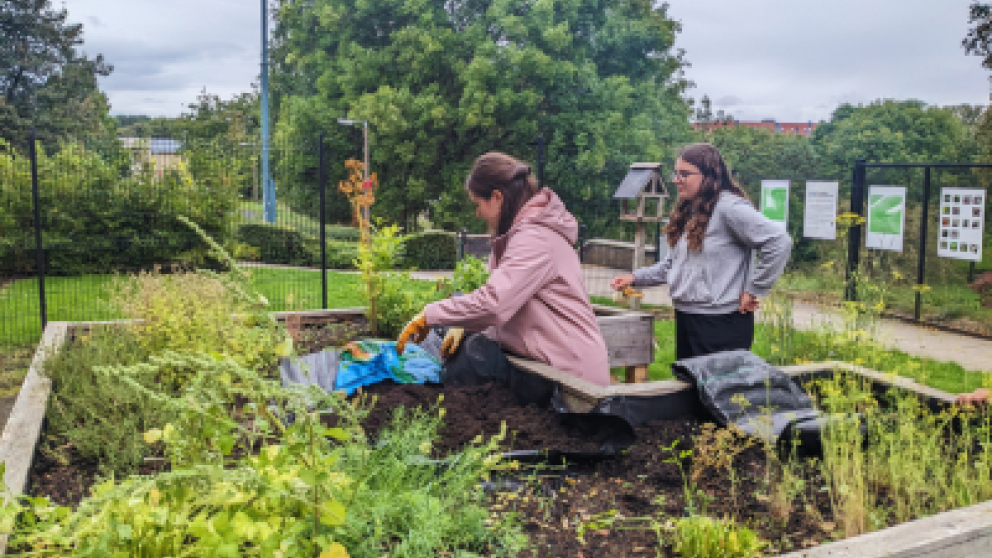 Two people working at a raised bed planting herbs