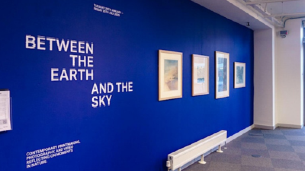 A photograph of a blue wall with some framed artwork on and Between the Earth and the Sky written on