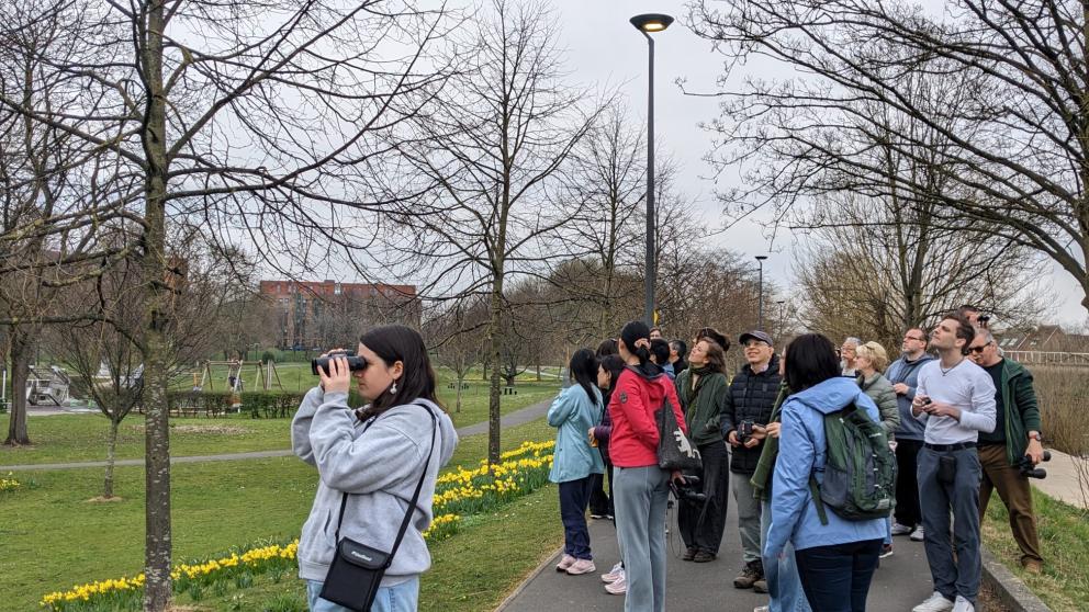A group of students and staff using binoculars to identify and count bird species in Peel Park