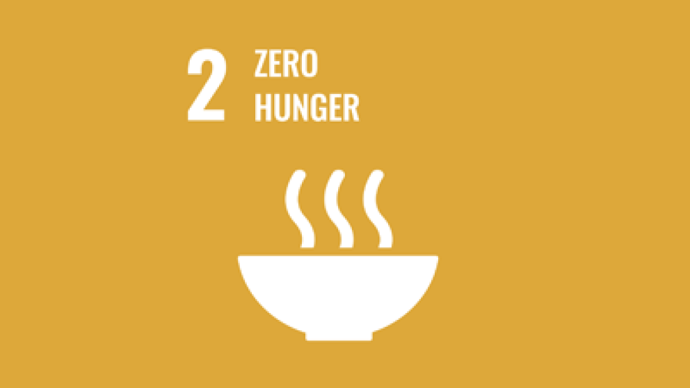 Illustration representing a bowl of hot food with text stating number 2 zero hunger