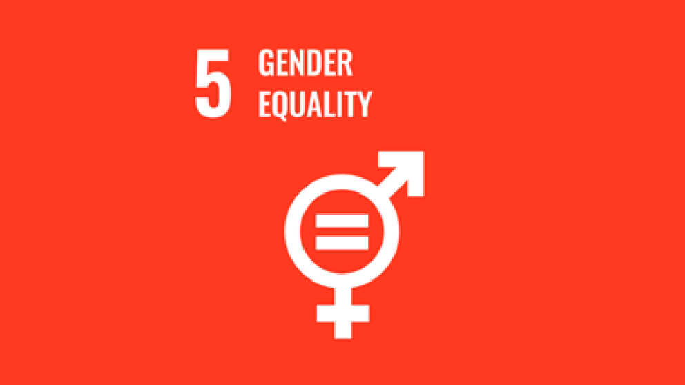 Illustration representing a gender types with text stating number 5 gender inequality