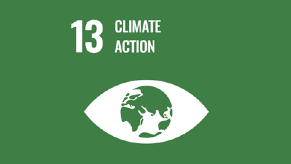 Illustration representing a globe inside an eye with text stating number 13 climate action