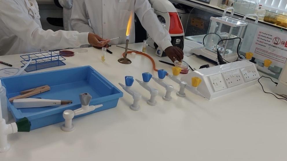 In2STEM Summer School