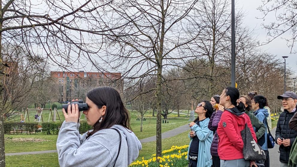 A group of people lookinhg upwards towards a large tree in Peel Park, some holding and using binoculars.