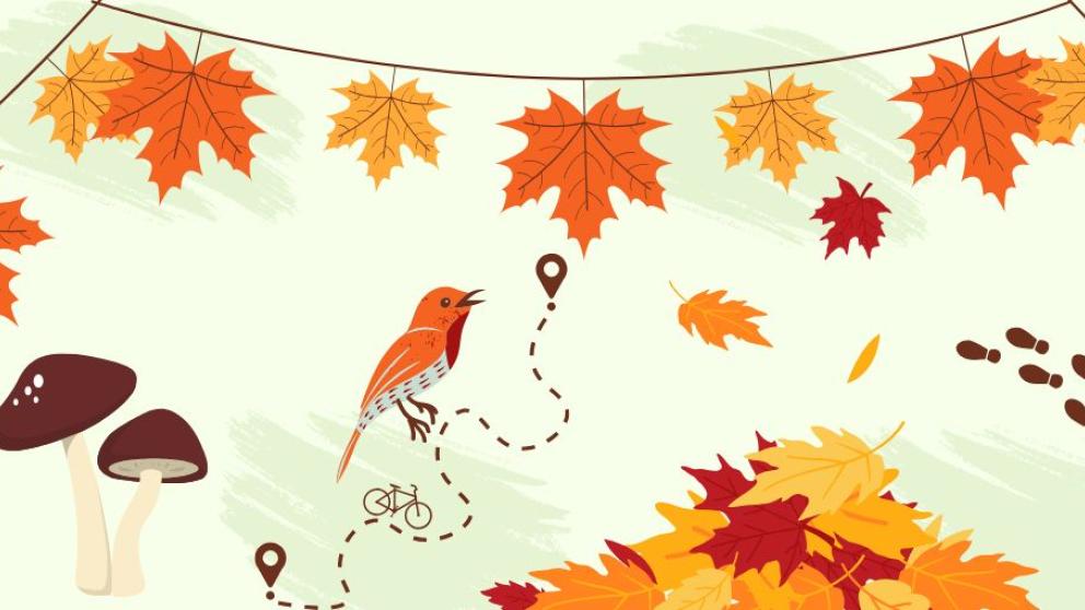 Autumnal icons including a bird, footprints, coffee, leaves, leaf piles, etc.